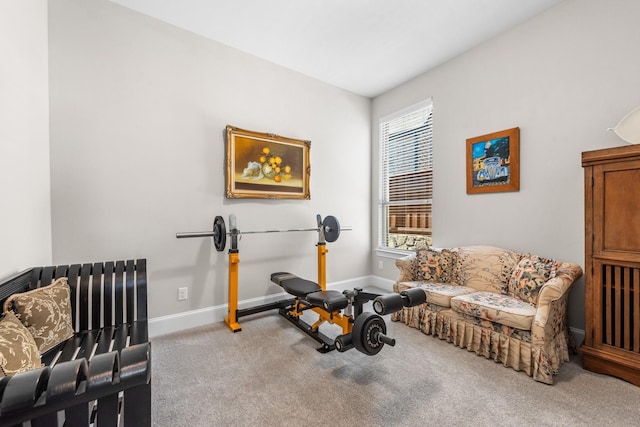 exercise area with carpet and baseboards