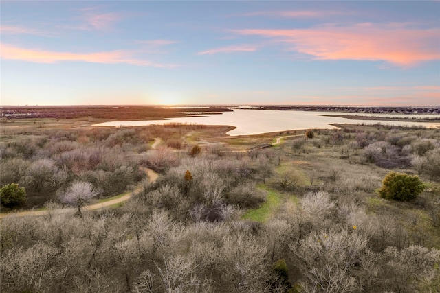 nature at dusk with a water view