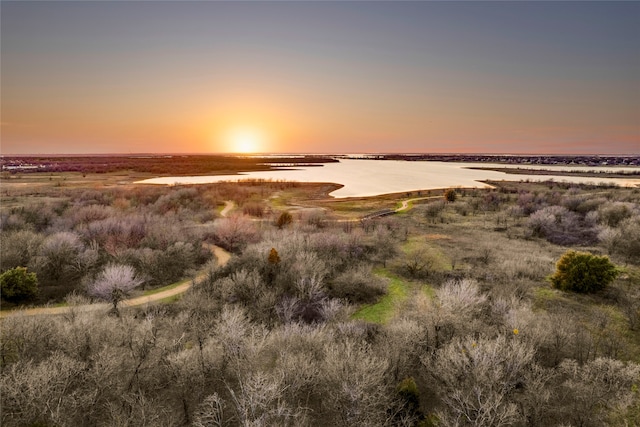 view of local wilderness featuring a water view