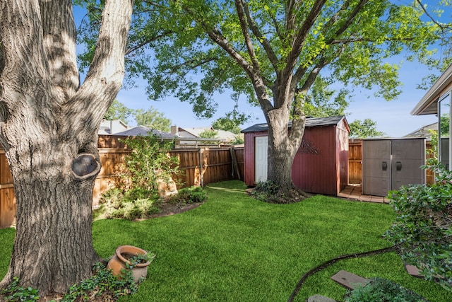 1878 Trail Ridge Dr, Lewisville, TX 75077 - view of yard