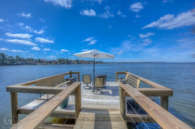 dock area with a water view