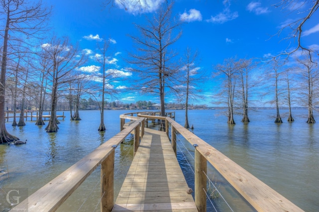 dock area with a water view