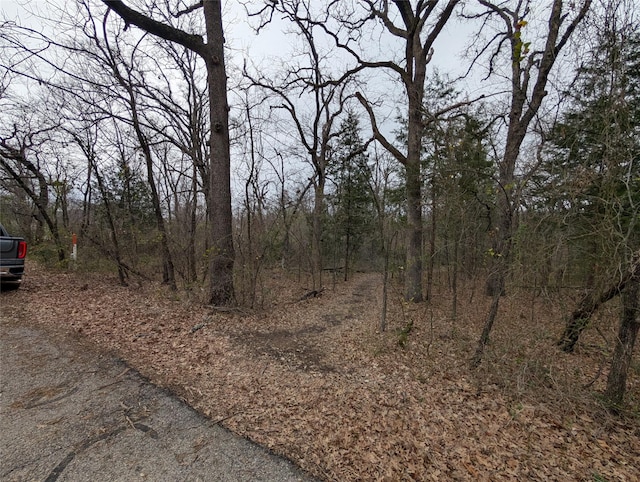 230 Commander Dr, Gun Barrel City TX, 75156 land for sale