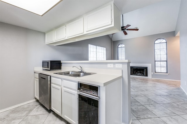 kitchen with a sink, stainless steel appliances, plenty of natural light, and a fireplace