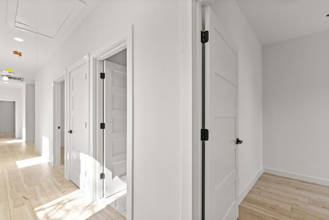 hallway featuring visible vents, light wood-type flooring, attic access, and baseboards