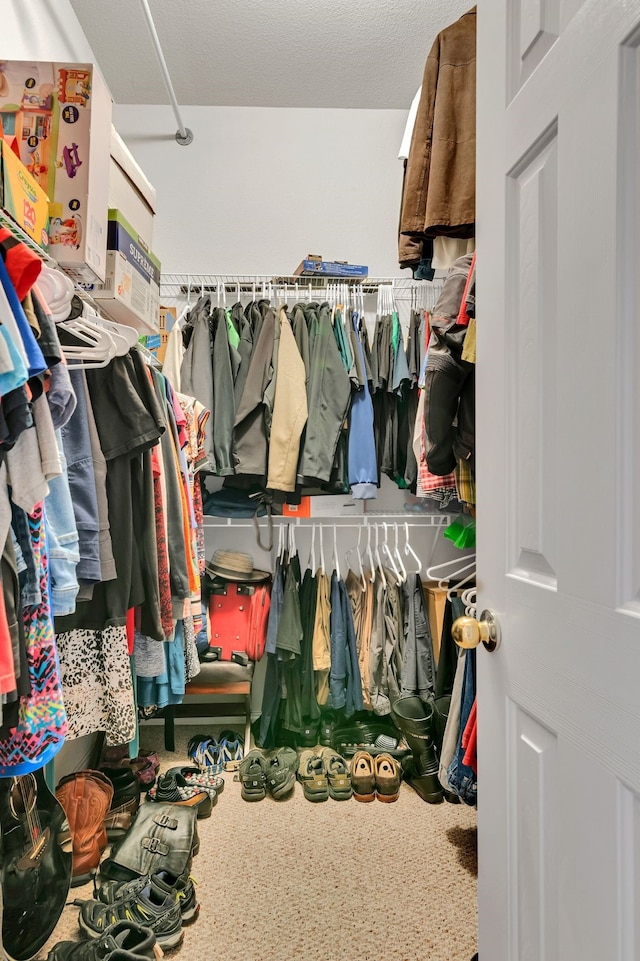 view of spacious closet