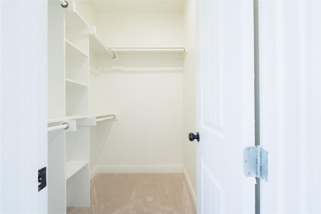 spacious closet with visible vents and carpet flooring