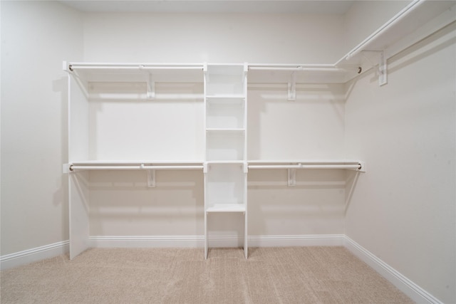 spacious closet with carpet floors