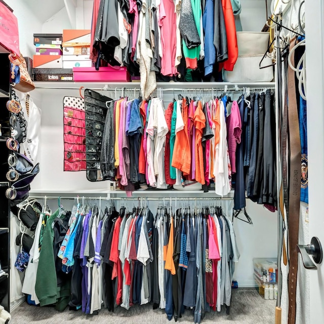 spacious closet featuring carpet floors