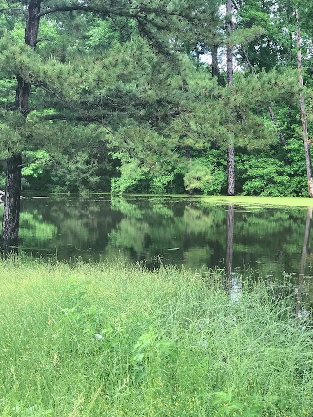 view of landscape with a water view