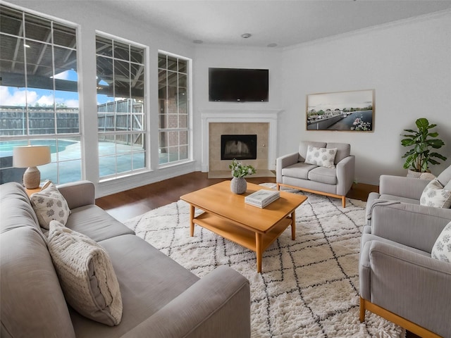 living room with a fireplace and wood finished floors