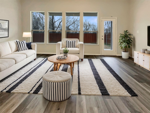 living room with a healthy amount of sunlight, baseboards, and wood finished floors