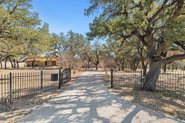 view of asphalt driveway featuring a gated entry
