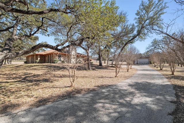 view of road featuring aphalt driveway