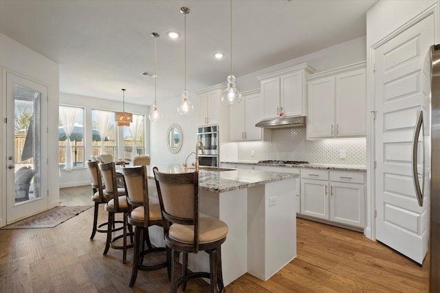 kitchen with under cabinet range hood, stainless steel appliances, light wood finished floors, and decorative backsplash