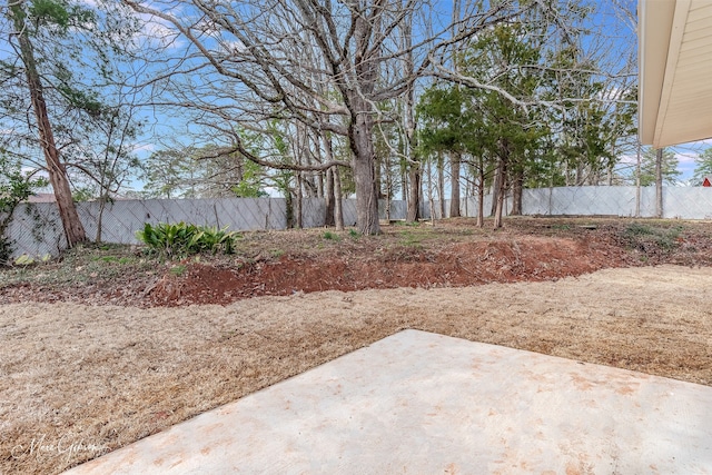 view of yard with a patio and a fenced backyard