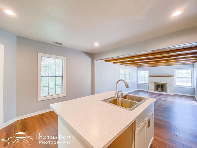 kitchen with a wealth of natural light, light wood-type flooring, a sink, and visible vents