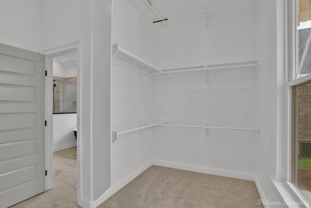spacious closet with carpet flooring