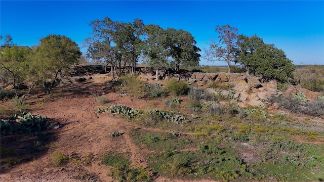 view of local wilderness