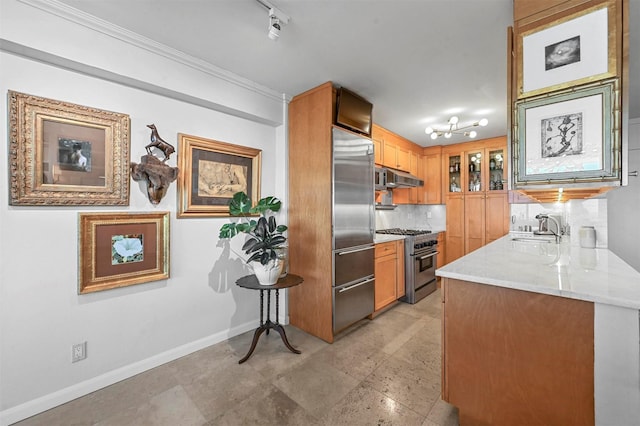 kitchen with baseboards, decorative backsplash, high quality appliances, under cabinet range hood, and a sink