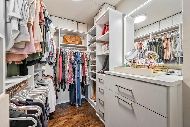walk in closet with dark wood finished floors