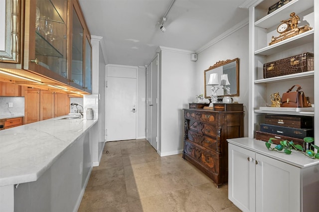 interior space with baseboards, a sink, rail lighting, and crown molding
