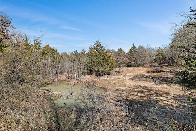 view of local wilderness featuring a wooded view