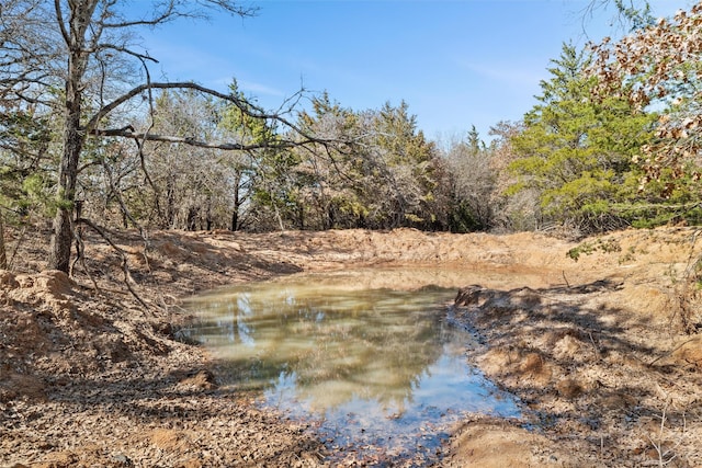 view of landscape featuring a water view