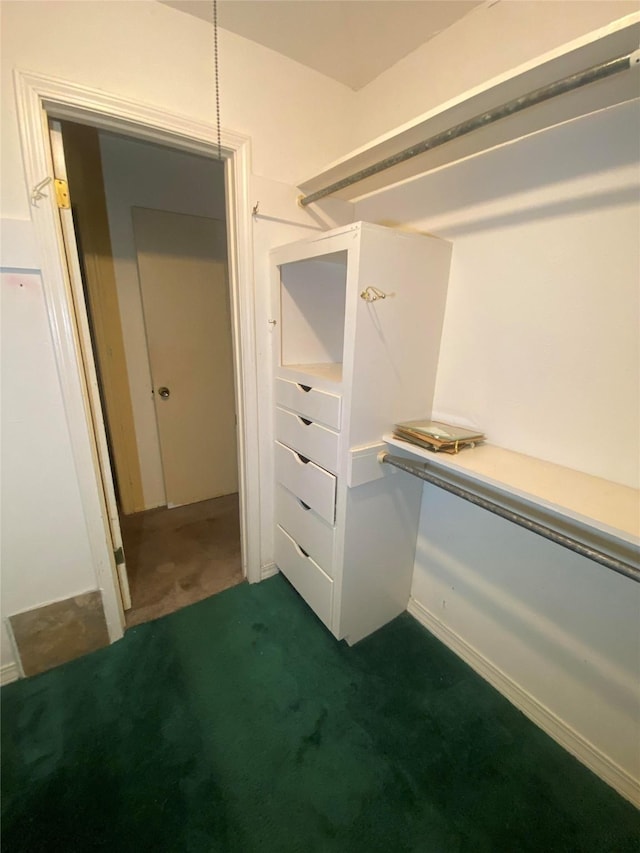 walk in closet with dark colored carpet