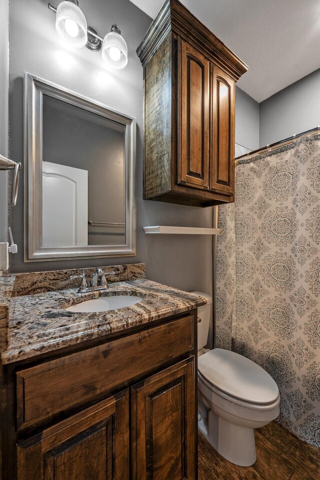 bathroom with wood finished floors, vanity, toilet, and a shower with curtain