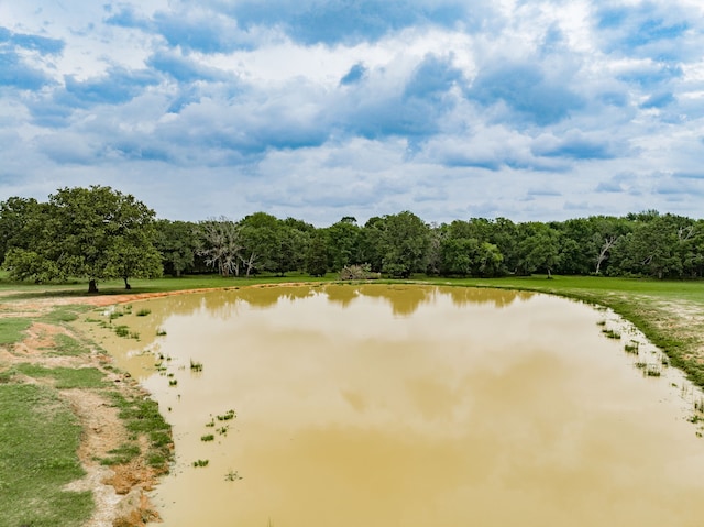 view of water feature featuring a wooded view