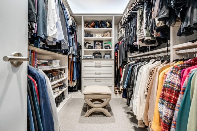 view of walk in closet