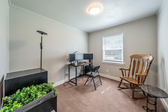 carpeted home office with ornamental molding and baseboards