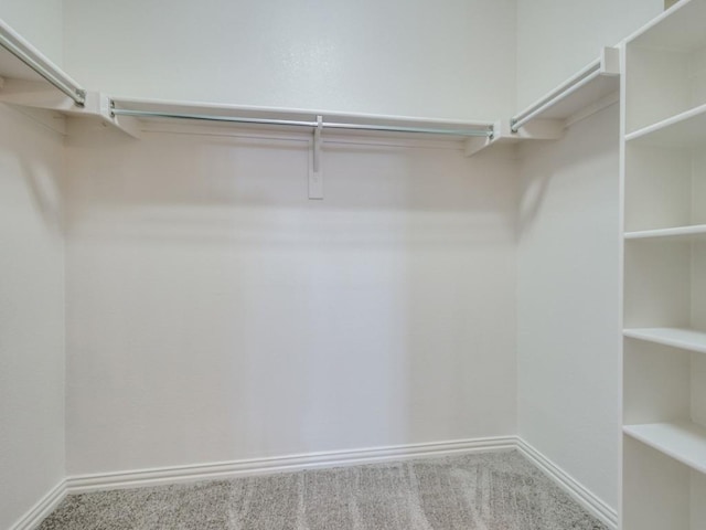 walk in closet featuring carpet