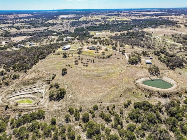 drone / aerial view