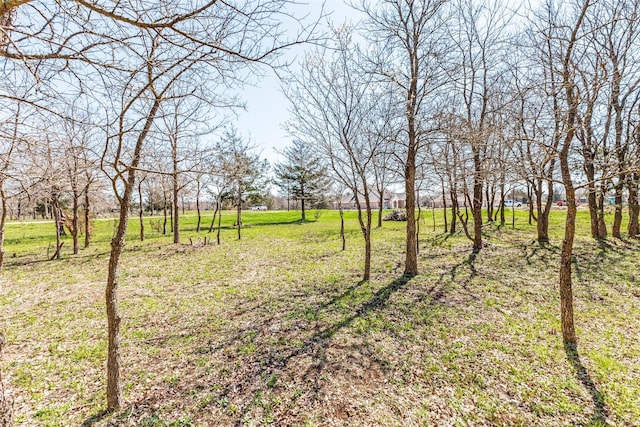 4111 Vista Oak Dr, Royse City, TX 75189