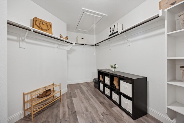 walk in closet featuring wood finished floors and attic access