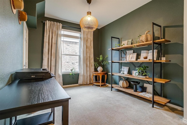 office area featuring carpet floors and a textured wall