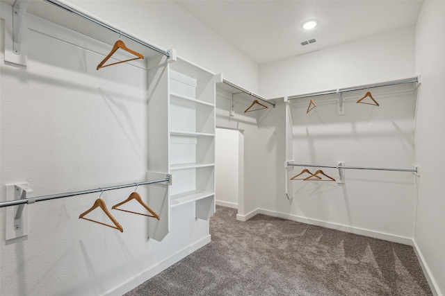 spacious closet with carpet floors and visible vents