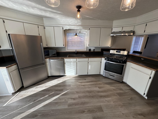 kitchen featuring dark countertops, appliances with stainless steel finishes, dark wood-type flooring, under cabinet range hood, and a sink