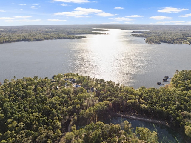 drone / aerial view with a water view and a view of trees