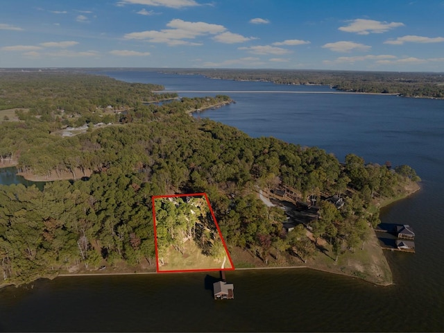 birds eye view of property featuring a water view and a view of trees