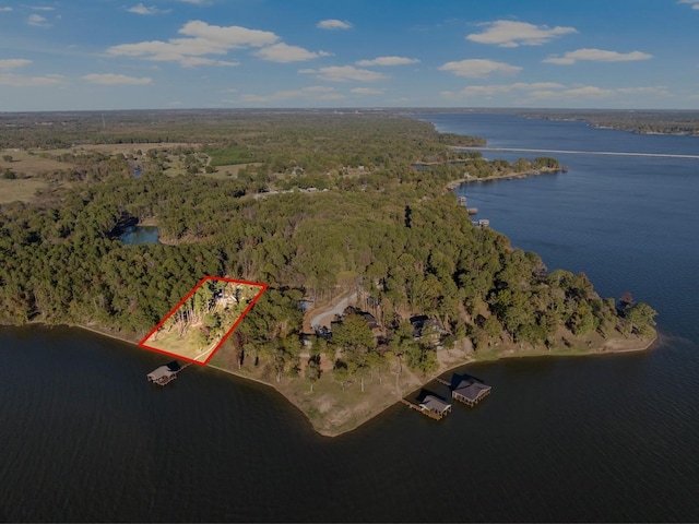 birds eye view of property featuring a water view and a forest view