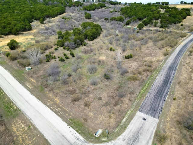 Listing photo 2 for LOTS137 Canyon Wren S, Graford TX 76449