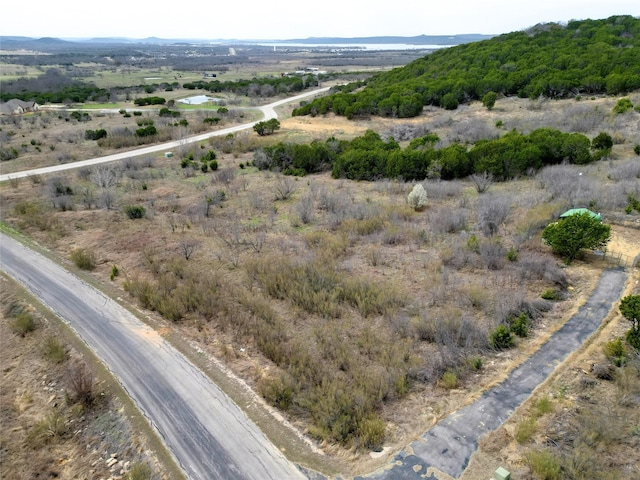 Listing photo 3 for LOTS137 Canyon Wren S, Graford TX 76449