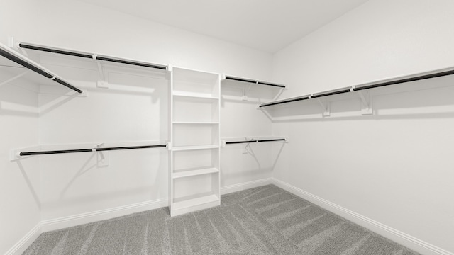 walk in closet with carpet floors