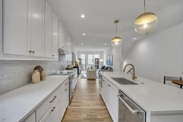 kitchen featuring light wood finished floors, decorative backsplash, stainless steel appliances, under cabinet range hood, and a sink