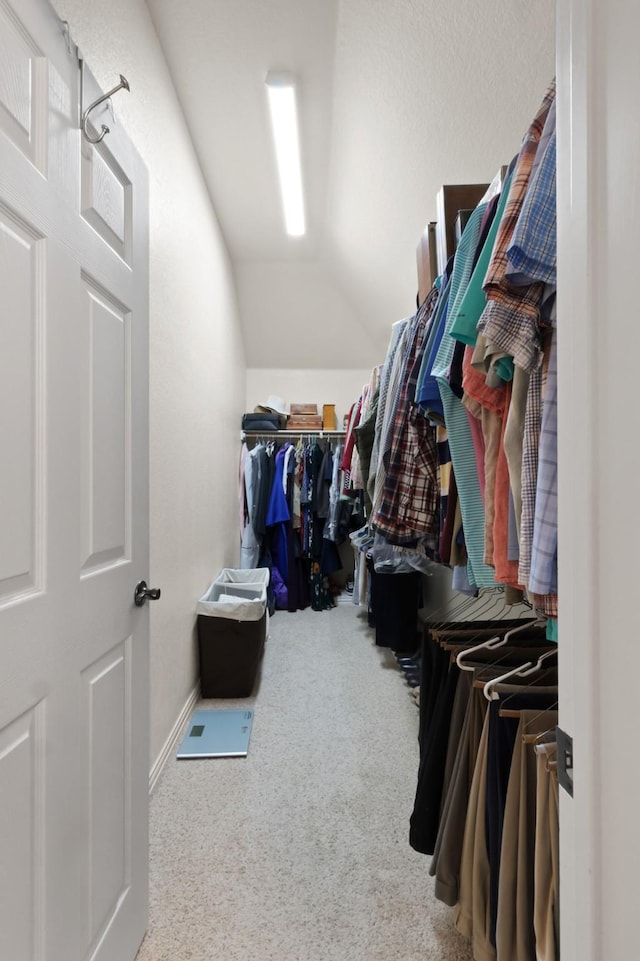 walk in closet featuring carpet and vaulted ceiling