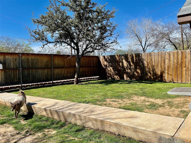 view of yard with a fenced backyard