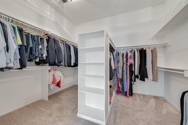 spacious closet featuring carpet